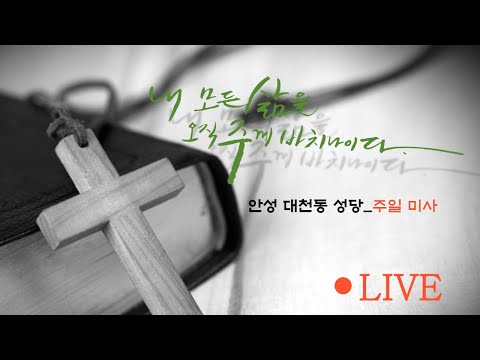영상썸네일