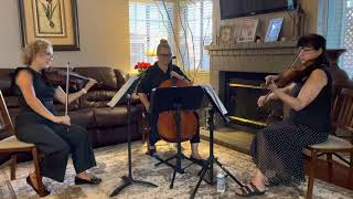 Perfect by Ed Sheeran - Harmony Strings