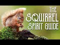 Squirrel Spirit Guide - Ask the Spirit Guides Oracle - Totem Animal, Power Animal - Magical Crafting