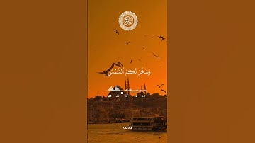 #تلاوات_مطرف_المطرف #سورة_إبراهيم       #ايات_قرانيه_قصيره#اكسبلور#راحة_نفسية #السعودية #تلاوة_خاشعة