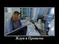 Download Ждун в Прометее (г. Якутск) Ждун в Прометее (г. Якутск)