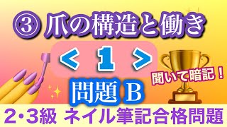 音声♪③爪の構造と働き≪１≫問題B