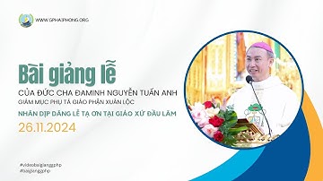 Bài giảng lễ của Đức Cha Đaminh Nguyễn Tuấn Anh trong Thánh lễ tạ ơn tại quê hương giáo xứ Đầu Lâm