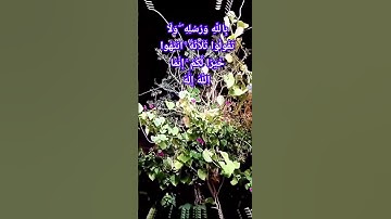 #قران_كريم #قرآن #قرآن #قرآن_الصباح #سورة_النساء :اللَّهِ وَكَلِمَتُهُ أَلْقَاهَا إِلَىٰ مَرْيَم