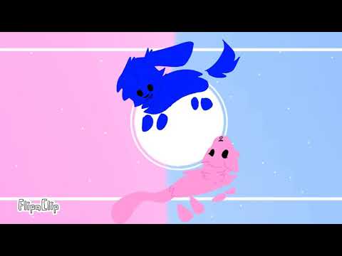 I love you baby|| pink cat x blue doggy