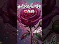 Behan Too Sub ki Pyare Hotee hai Masha Allah 💚🥰 #poetry #viralvideo #viral #trending #shorts #reels