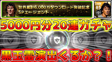 ジーコウイイレ