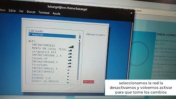 servidor dhcp en centos 8