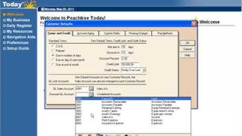 Peachtree Accounting Tutorial Class 6 in Urdu Hindi