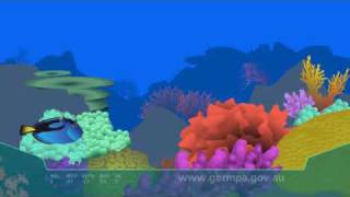 Coral bleaching on the Great Barrier Reef