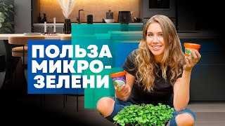 ПОЛЬЗА МИКРОЗЕЛЕНИ ОТВЕТЫ НУТРИЦИОЛОГА |Микрозелень в домашних условиях |Лучшие натуральные витамины