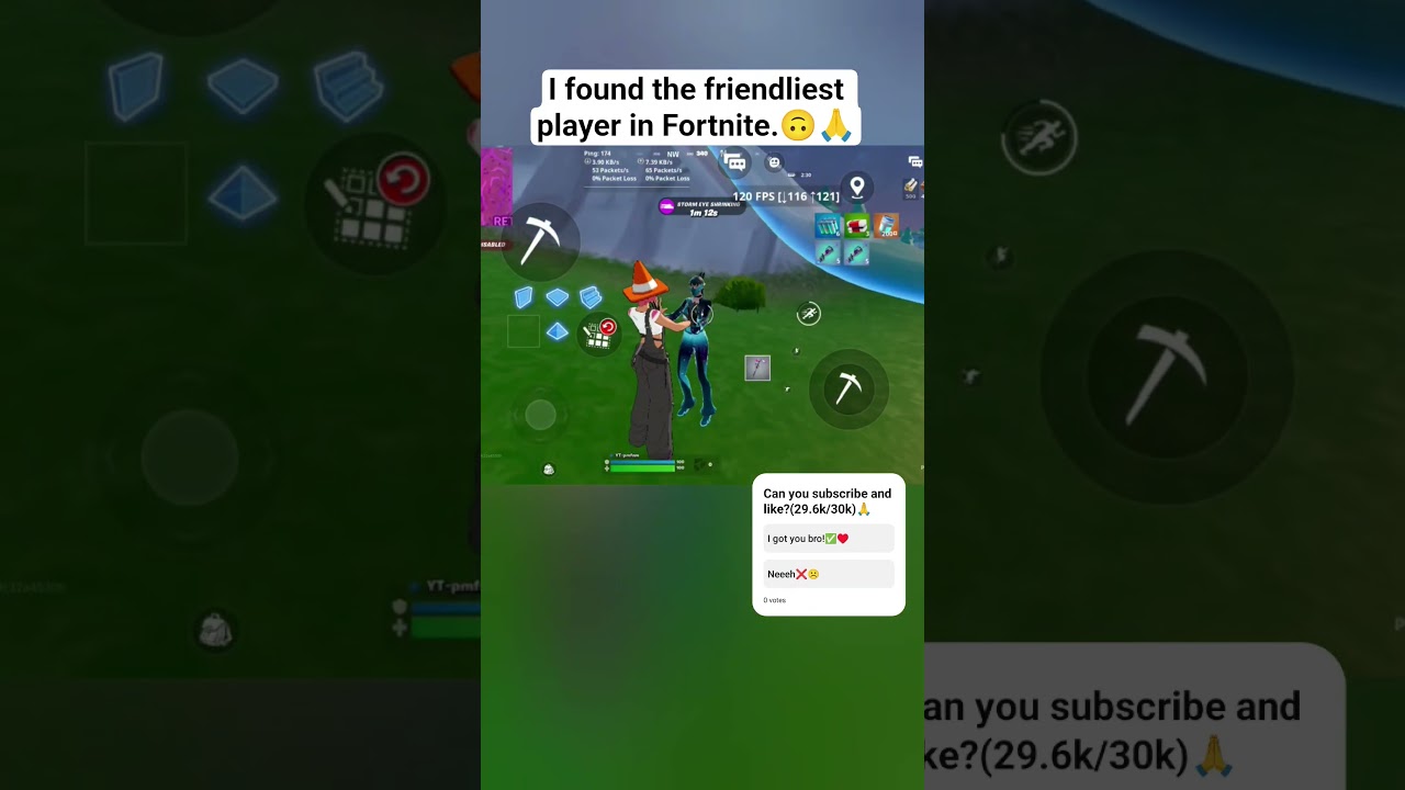 I found the friendliest player in Fortnite. 