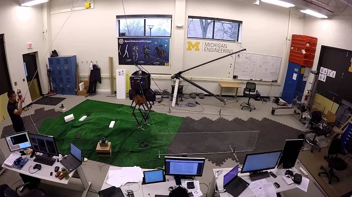 Rough Terrain Walking: Practice for the Wave Field