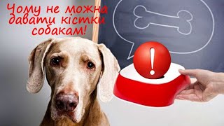 Чому Не Можна Давати Кістки Собакам! Why Can't You Give Bones To Dogs!