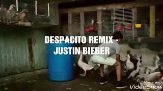 Justin bieber- DESPACITO lyrics