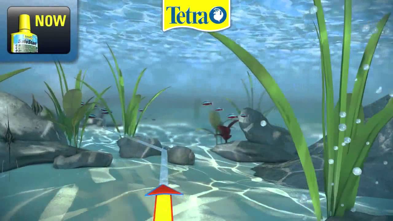 Quick Guide to using Tetra SafeStart | Big Al's - YouTube