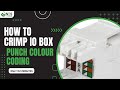 HOW TO CRIMP IO BOX AND PUNCH COLOUR CODING FOR RJ 45 AND NETWORK SWITCH by Net Expert Solutions