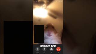 gak ada judul #ringtone #ringtones #song