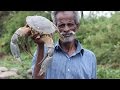 2.5 KG BIG CRAB Prepared by my Daddy  / VILLAGE FOOD FACTORY