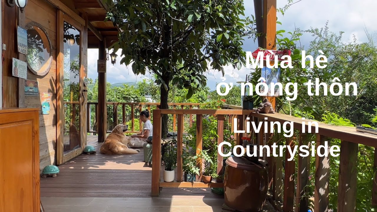 Cuộc sống nhàn nhã ở nông thôn | hái măng cục hái mít | nấu ăn ở quê