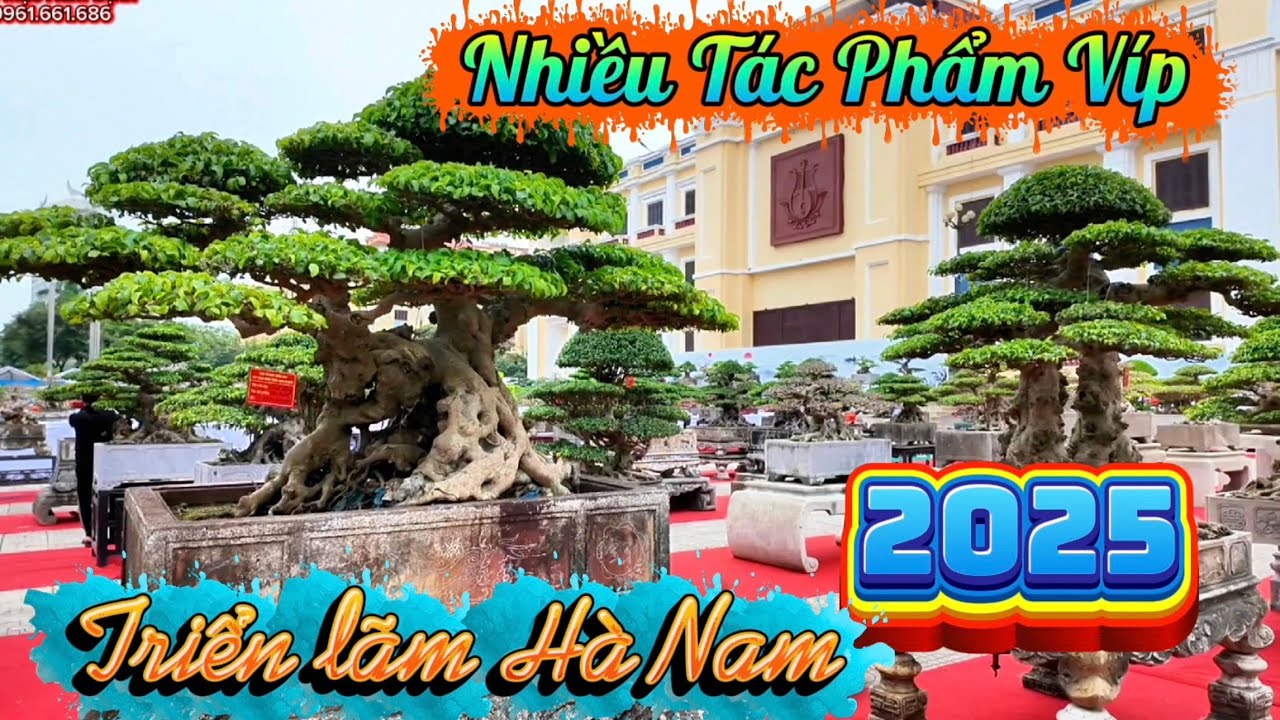 Triển lãm Hà Nam Nam nhiều tác phẩm bonsai vip 