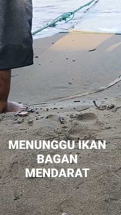 JUAL BELI IKAN LAUT PADANG, GUDANG IKAN LUBUK ALUNG