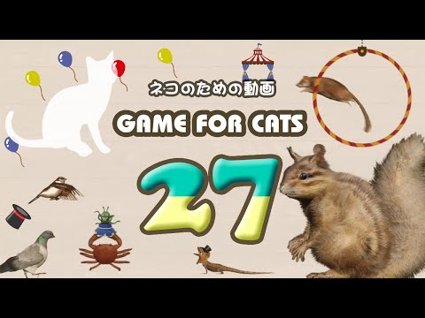 GAME FOR CATS 27 [Cat Video MIX27] Squirrel, Mouse, Lizard