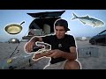 New York Beach Catch, Clean, &amp; Cook! (Fishing w/Subscribers)