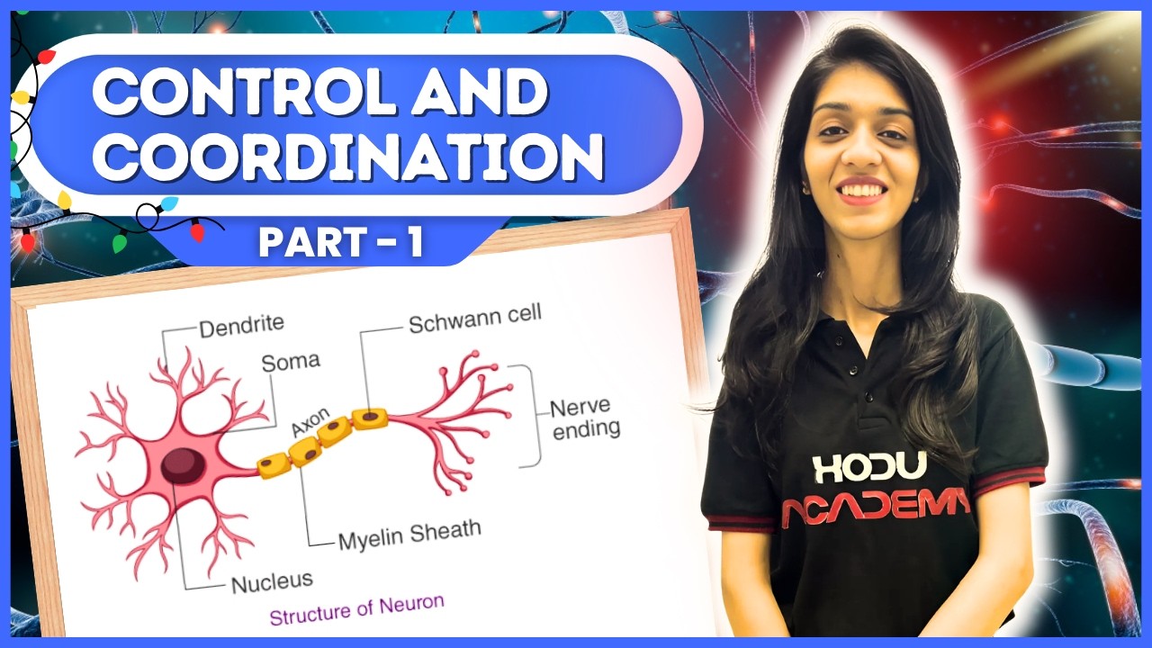 Control and Coordination Part 1 | Nervous System, Neuron, Reflex Action | Class 10 Science CBSE