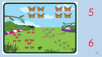 Reception Maths Week 2 - Estimation Lesson 4