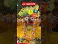 Jay Jagannath Darshan #short #shorts #shortvideo #jagannath #jagrnath #jagan #jagannathtemple