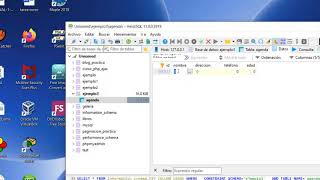 Insertar datos HeidiSql