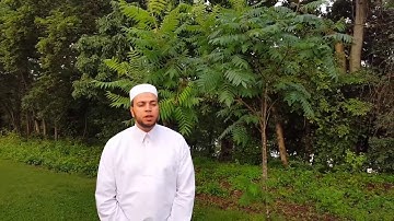 روائع الشيخ محمود الدميرى | ما تيسر من سورة الزخرف