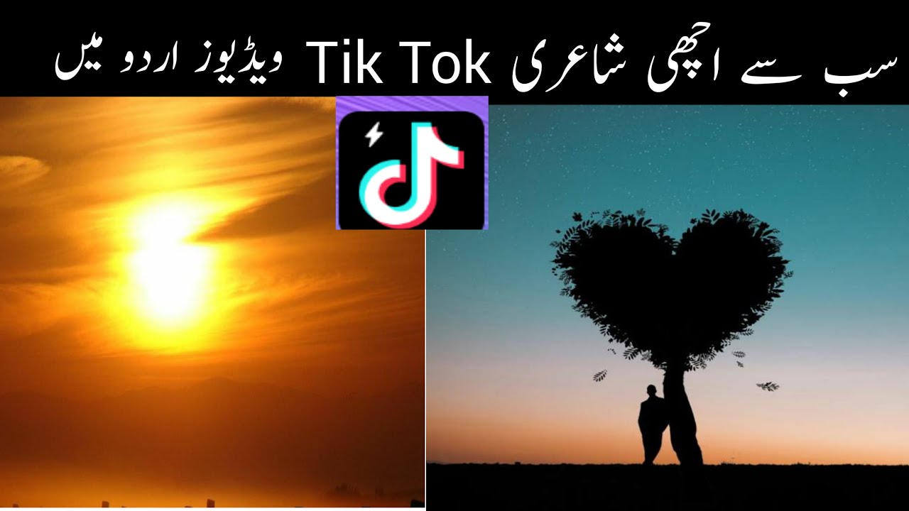 Best Tik Tok shayari Video in Urdu poetory Video best edit by ALI