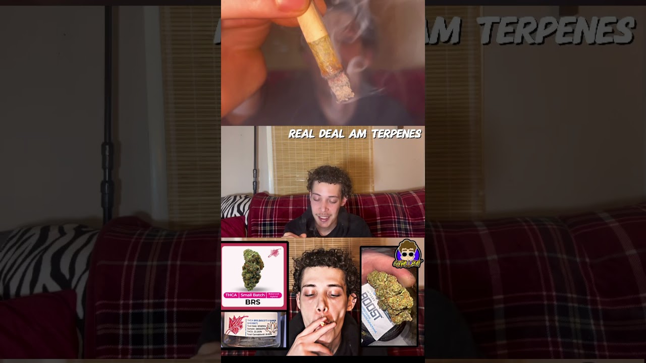 BRS ⛽️🌈 STRAIN REVIEW