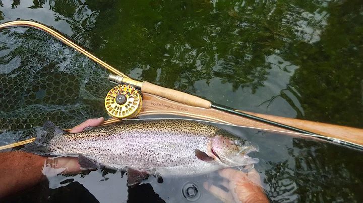 First time Fly Fishing on Lake Taneycomo with John...