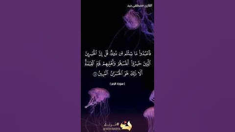 من سورة الزمر