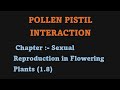 Pollen Pistil Interaction Ch- Sexual Reproduction in Flowering Plants Class 12