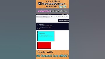 【study with me】freeCodeCampでCSS入門してみた day15  - CSS  - #freecodecamp #プログラミング  #プログラミング入門 #css