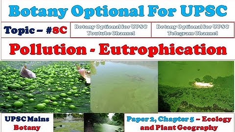 Eutrophication – Causes, Effects & Types of Eutrophication: Algal Blooms & Eutriphication Difference