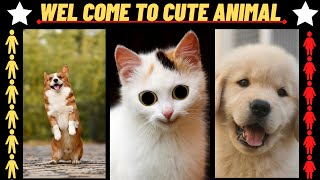 ♥ funny animal videos ♥  cute animals 79 ! baby animals 79 ! so cute and funny animals video #79