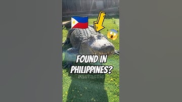 World BIGGEST CROCODILE Ever!🐊😱
