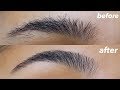 HOW TO GROOM + SHAPE YOUR EYEBROWS! (super easy)