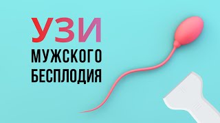 Диагностика мужского бесплодия. Роль УЗИ мошонки Топ 7 патологий яичка, ассоциированных с бесплодием