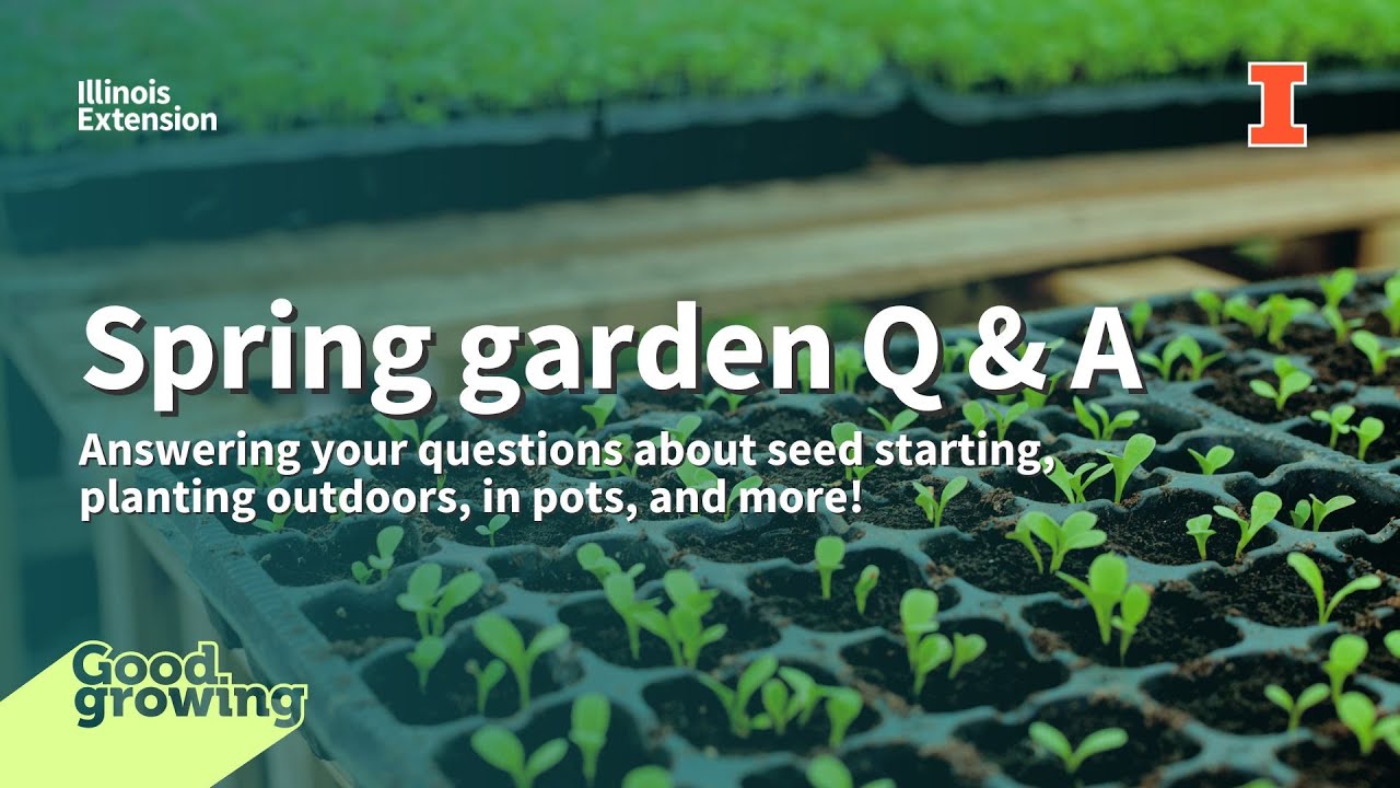 Spring Q A Spring Garden Q & A | #GoodGrowing - YouTube