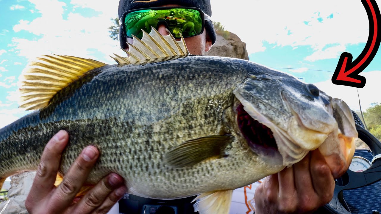 Fishing For BIG Bass at Canyon Lake ** Land of the Giants**