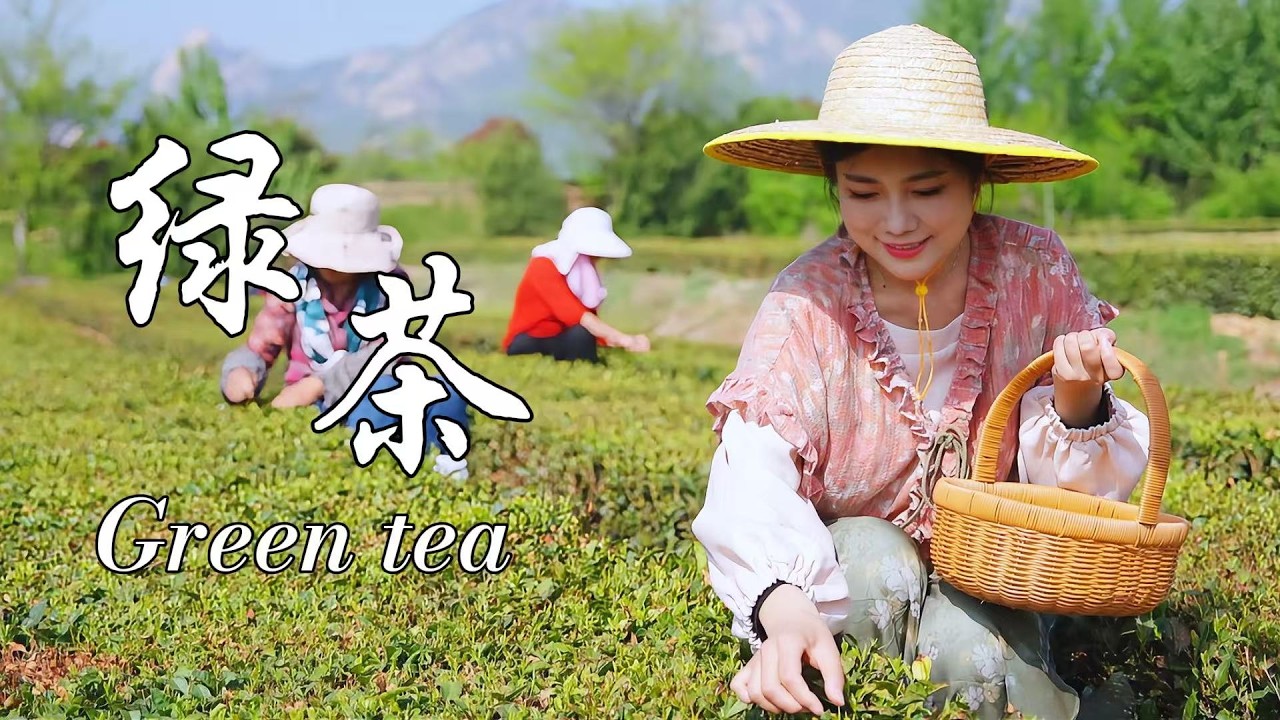 Зеленый чай можно пить, кипятить и готовить — вы знали об этом?