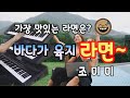 바다가 육지라면 조미미 전자올겐디스코 전자올겐연주 트로트 흘러간 옛노래 바다가 육지라면 조미미 전자올겐디스코 전자올겐연주 트로트 흘러간 옛노래