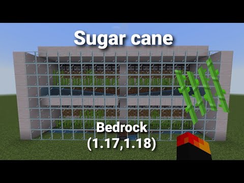 ⭐Granja de caña de azúcar automática⭐ // 1.16,1.17,1.18 // Minecraft Bedrock , Java
