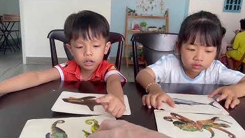 Tiếng Anh Giao Tiếp Trẻ Em Tại Phan Thiết: Ben and Mary practice talking about Sea Animals